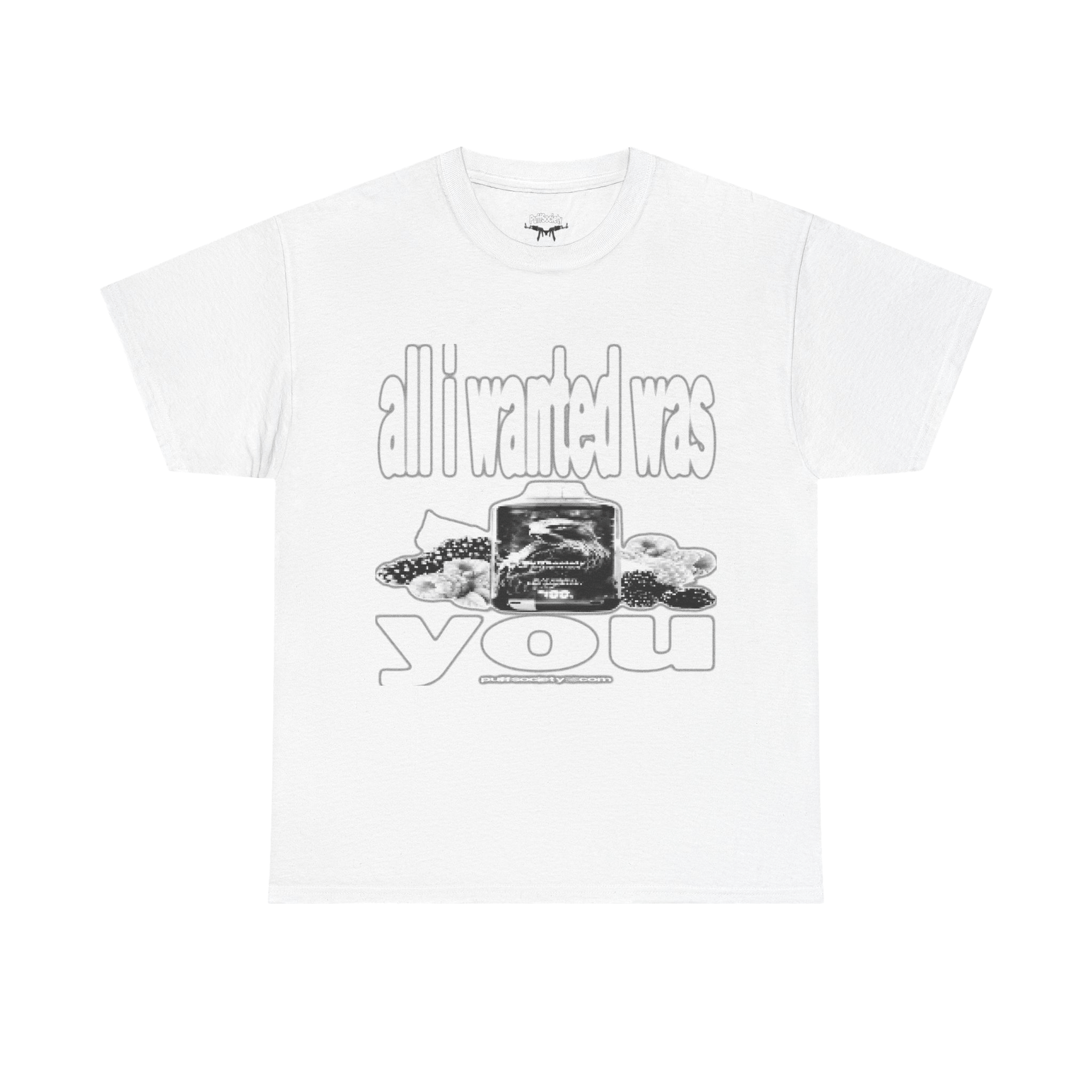 ALL I WANT WAS YOU T-SHIRT
